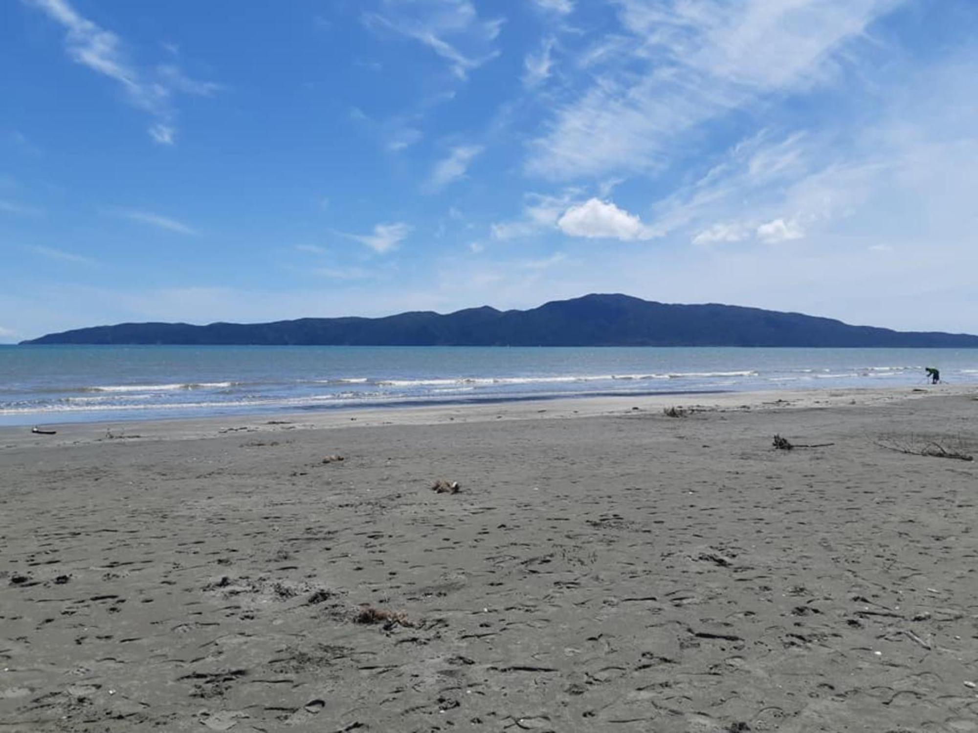 Raumati Guest House Paraparaumu Buitenkant foto